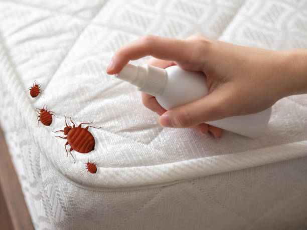 Best Pest Prevention Services  in Hamlet, IN
